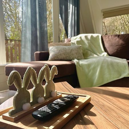 Chalet Het Hulstje دربي المظهر الخارجي الصورة