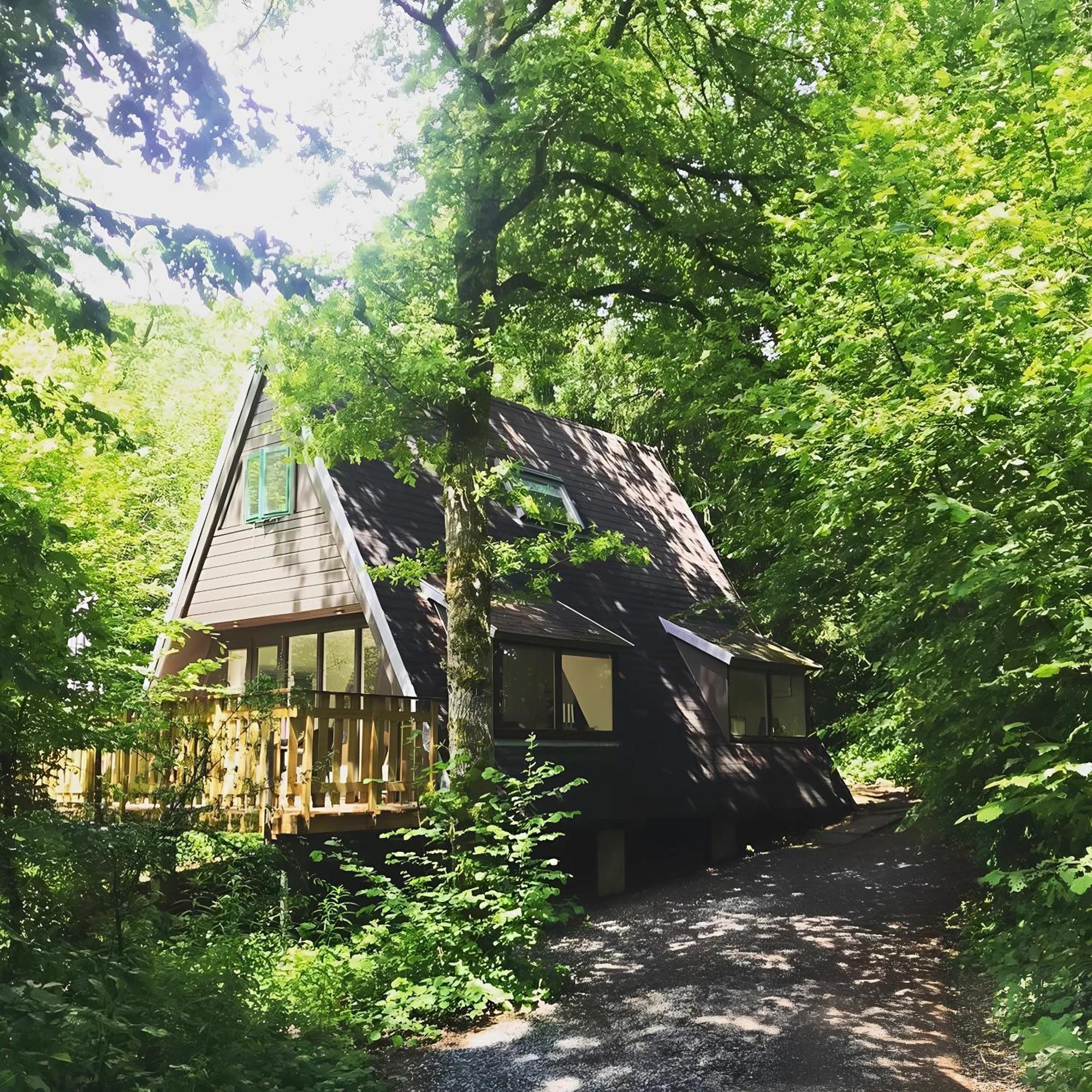 Chalet Het Hulstje دربي المظهر الخارجي الصورة